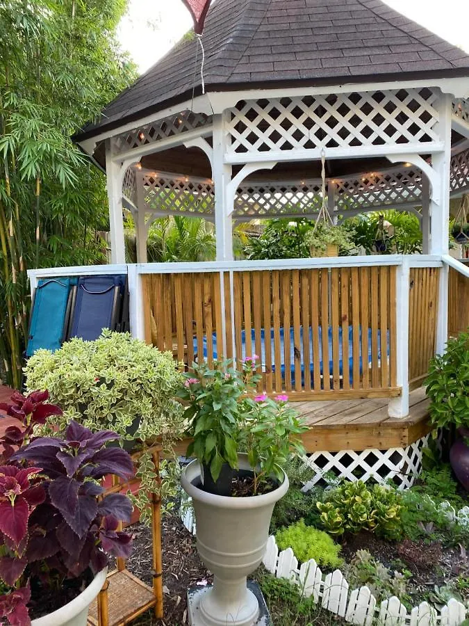 Bed & Breakfast Ms. Maggie'S South Country Inn Daytona Beach United States